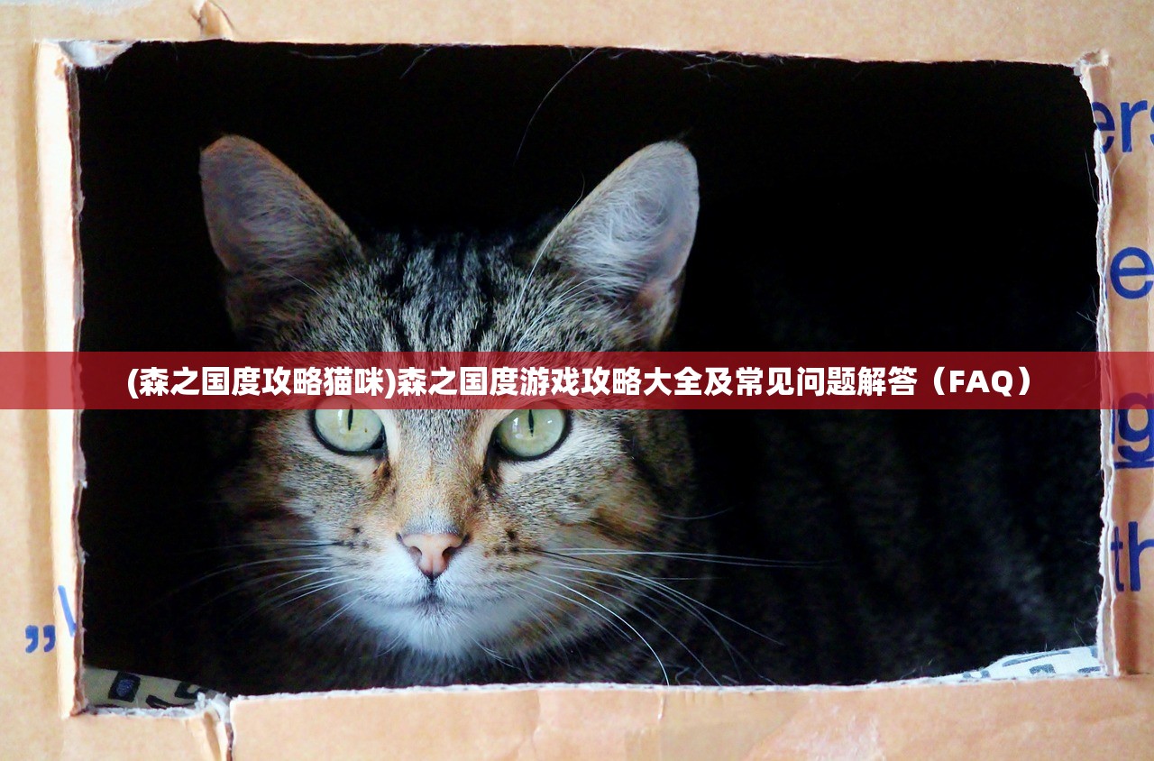 (萌战三国手游)抖音萌战三国游戏帮助与常见问题解答