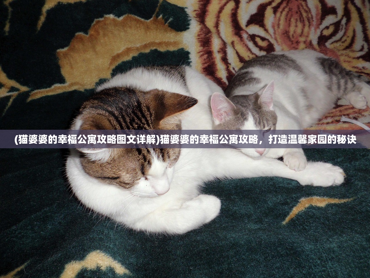 (steam休闲类的单机游戏)休闲单机游戏Steam，轻松体验的最佳选择