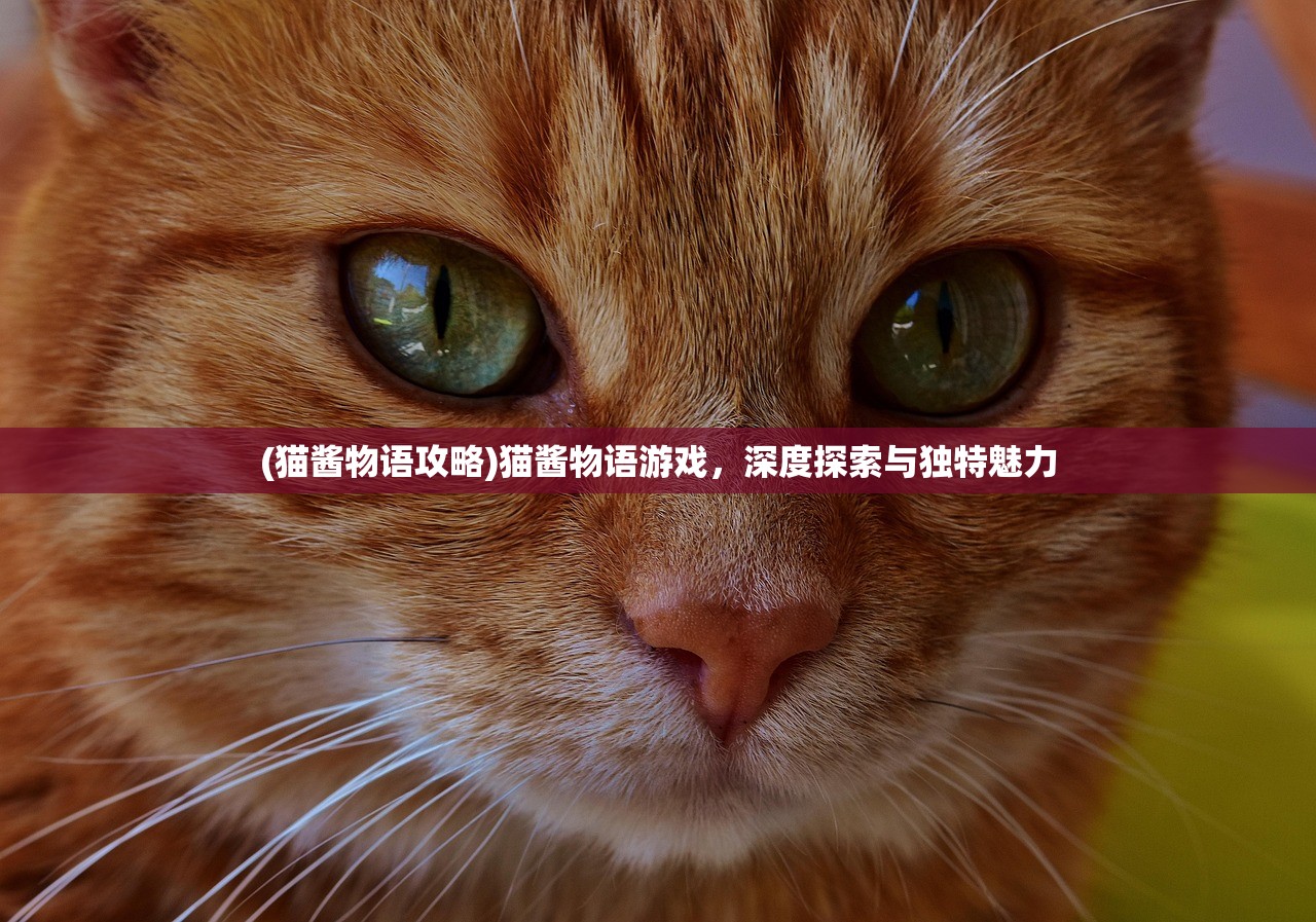 (冲刺赛车物语2debug版下载)冲刺赛车物语2 Debug版，深度解析与探索