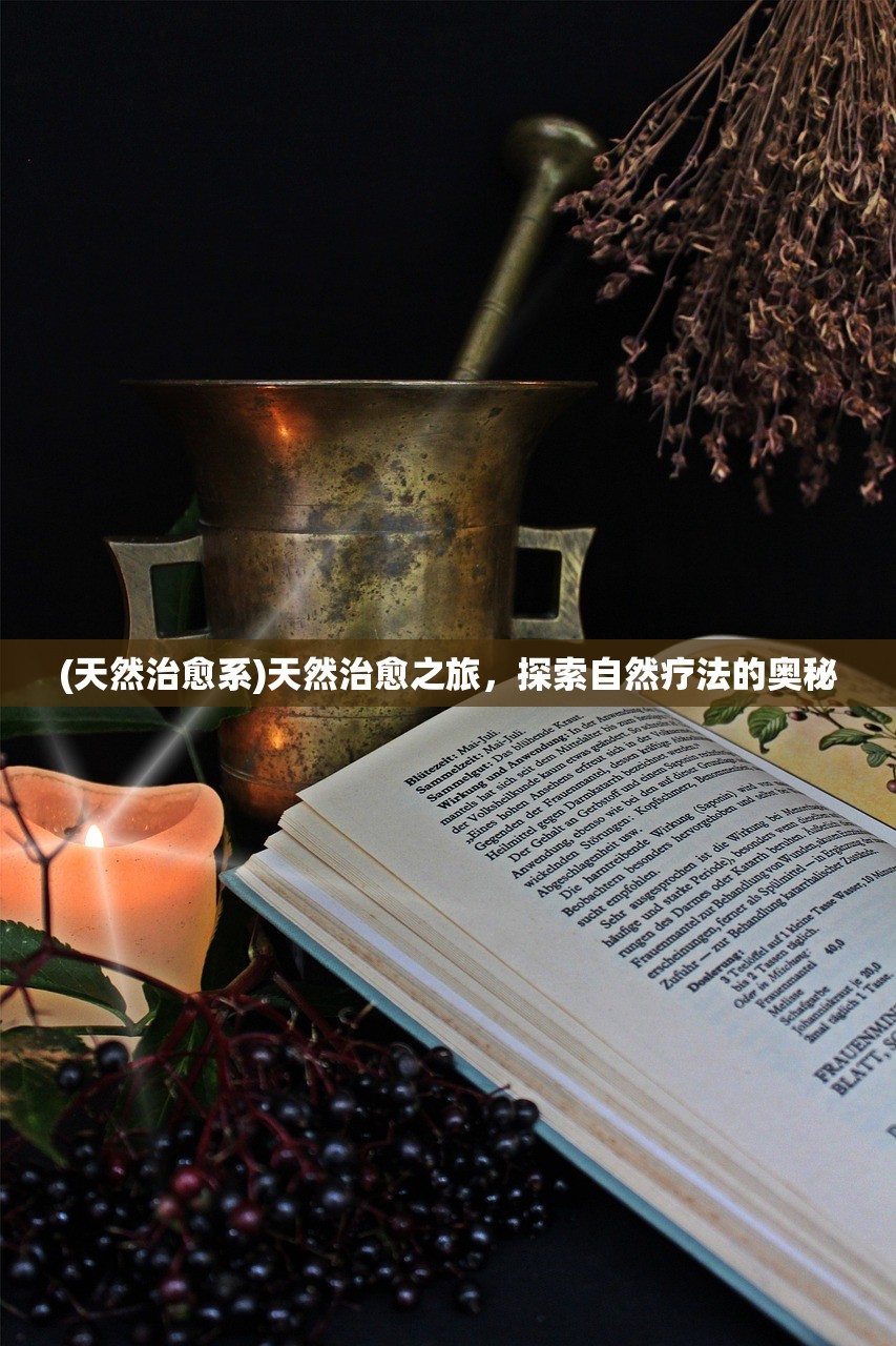 (剑刃风华攻略图文)剑刃风华攻略详解及常见问题解答