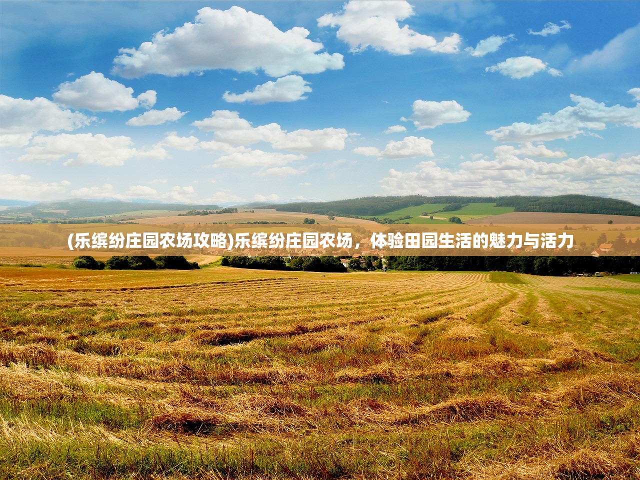 (侠义柔情手游攻略)侠义柔情手游，职业强度解析，探寻最强职业