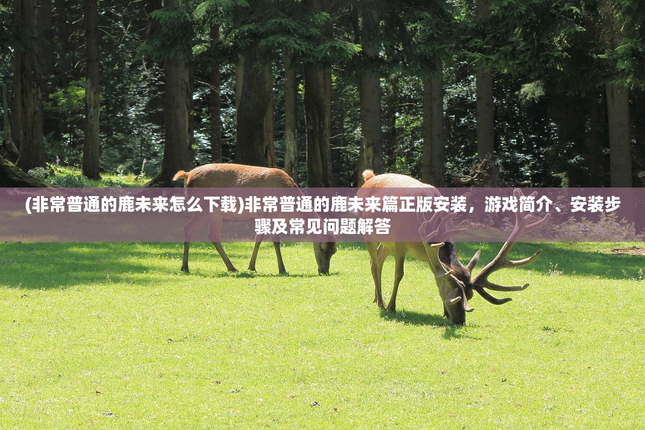 (浩天奇缘为什么玩不了)浩天奇缘OL Java版，探索奇幻世界的魅力
