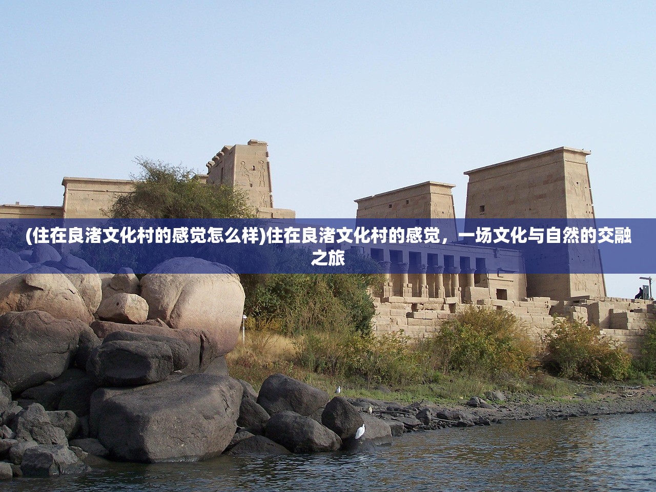 (为什么逐鹿仙神烂尾了)逐鹿仙神烂尾之谜，原因探究与深度分析