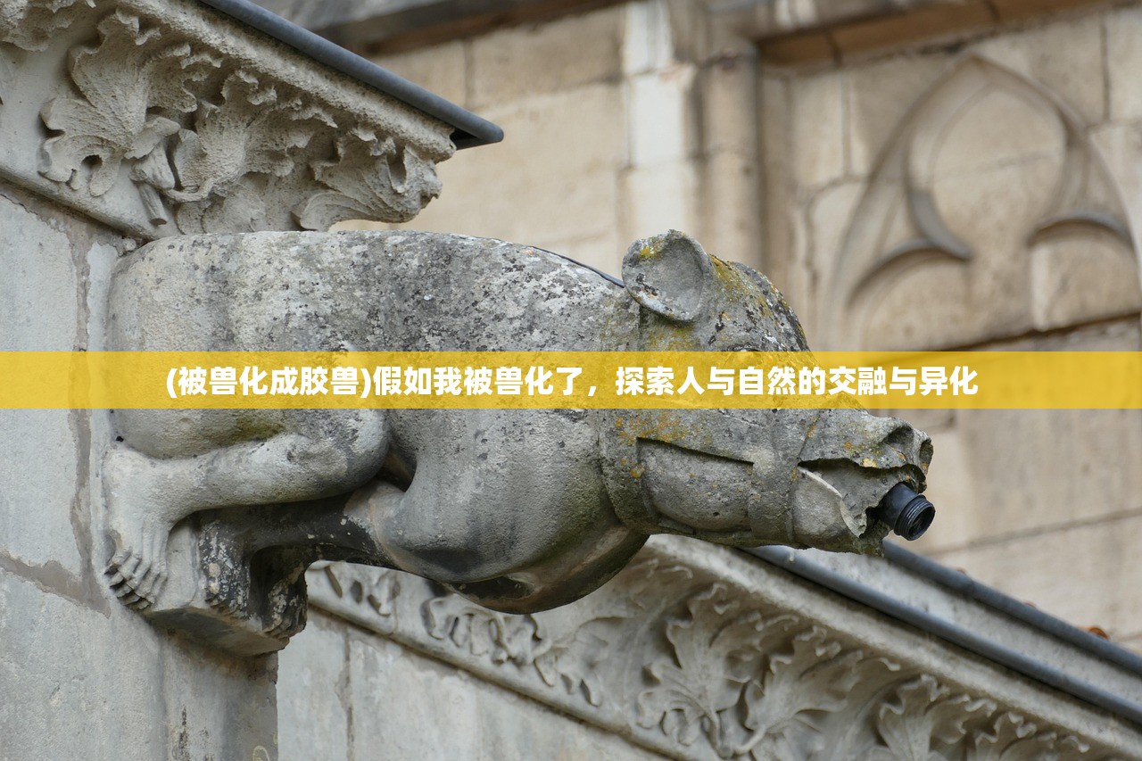 (幸存者传说内置修改器中文版)幸存者传说，内置修改器的深度解析与探讨