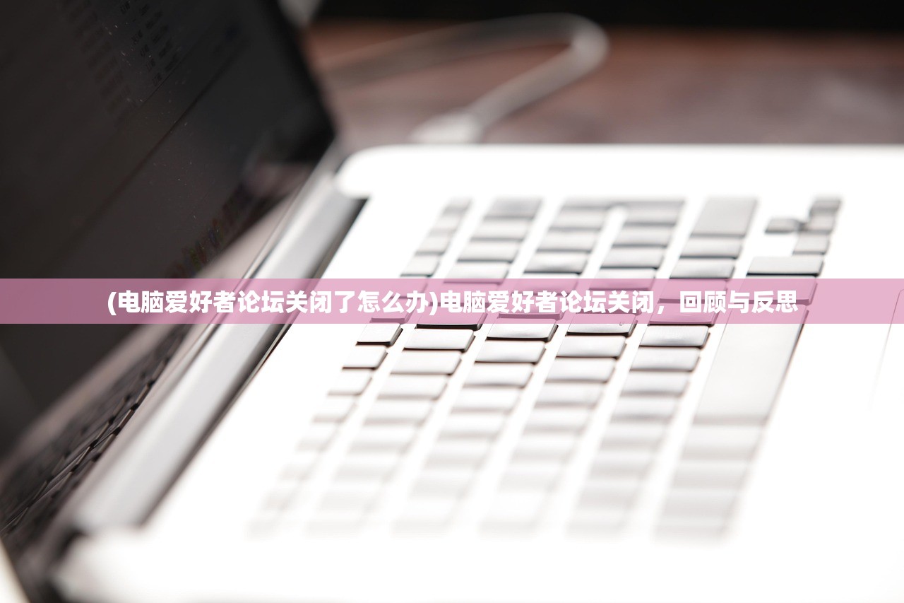 (幸存者传说内置修改器中文版)幸存者传说，内置修改器的深度解析与探讨