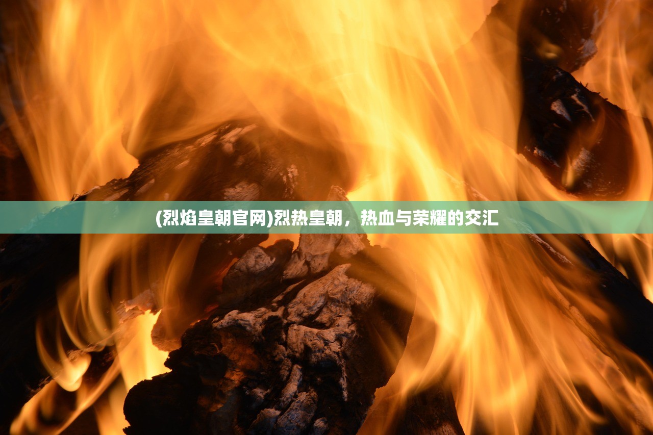 (统帅什么牌子)统帅什么，探索领导力的多元维度