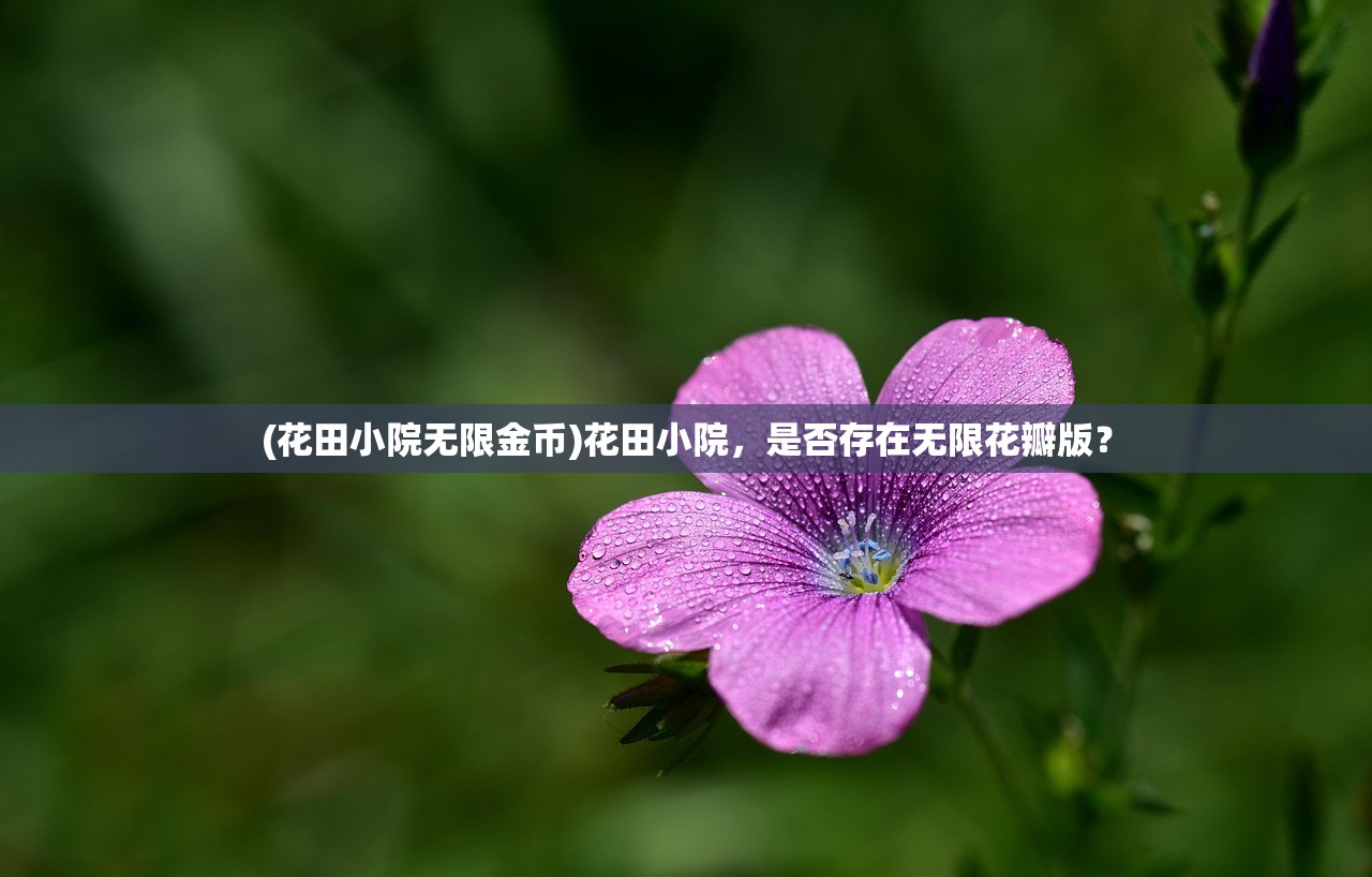 (武功来了24年倒闭了吗知乎)武功来了2，新篇章的武侠探索与挑战