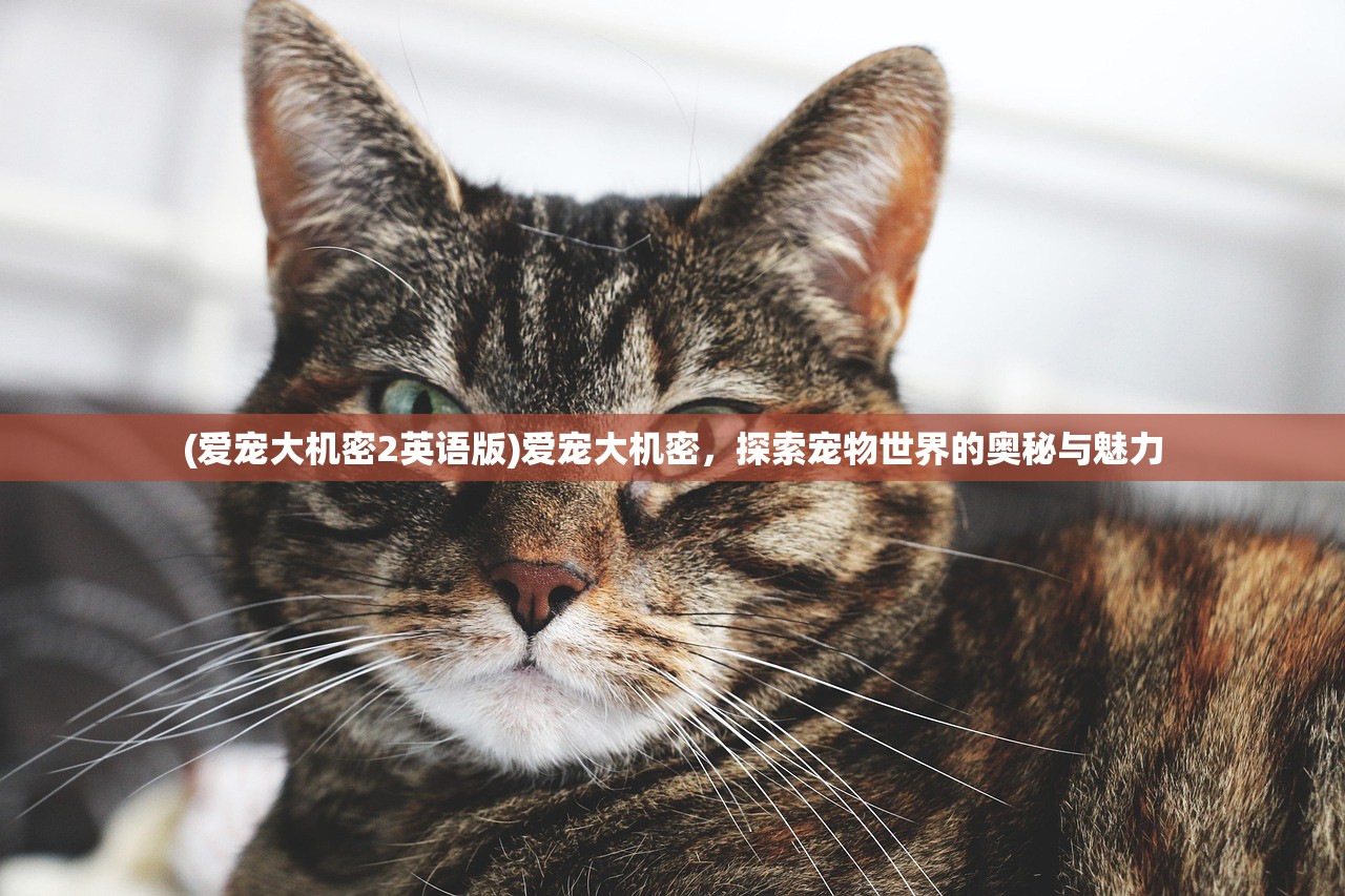 (傲视沙城 vip价格表大全)傲视沙城VIP价格表详解与游戏分析