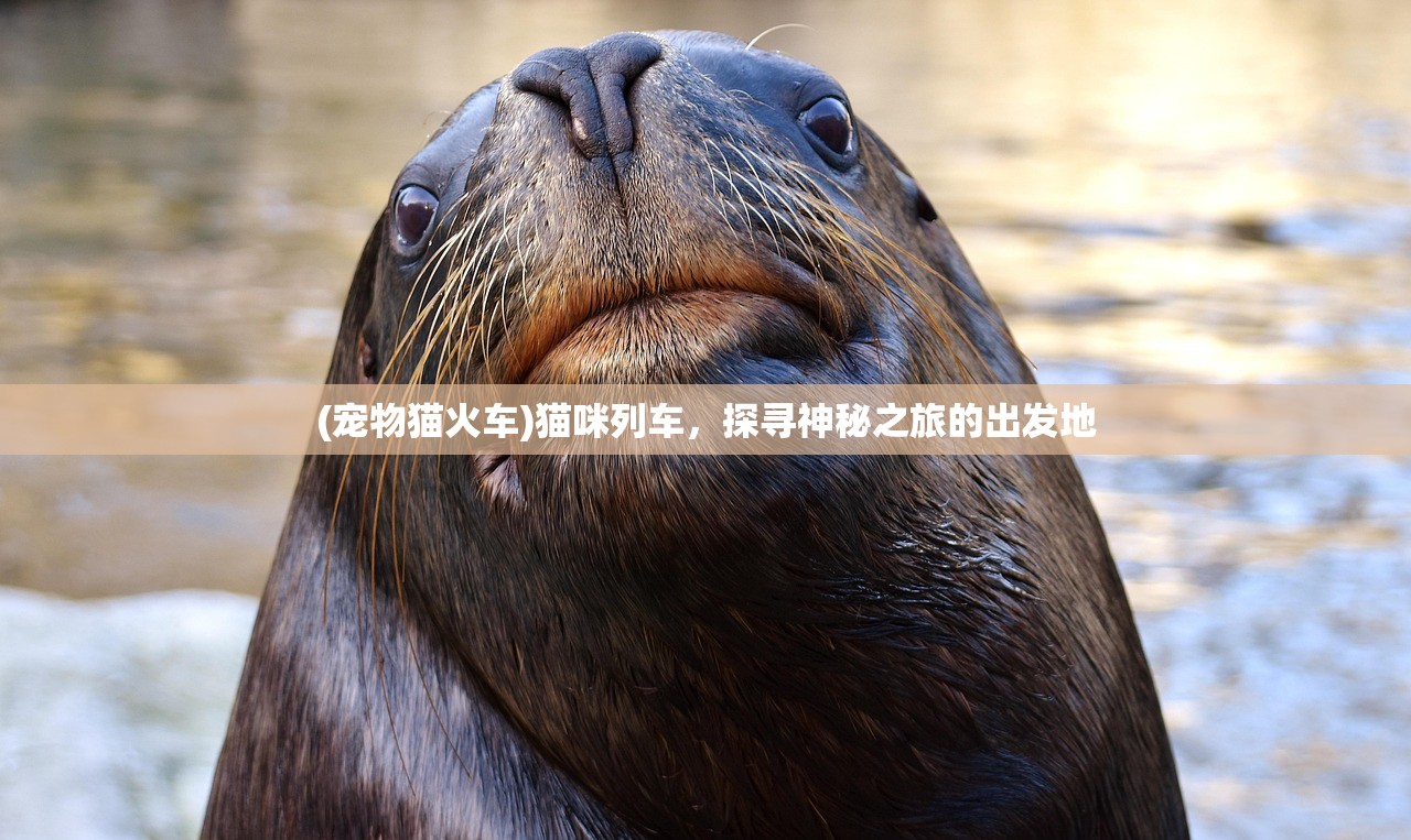 (冰原守卫者冰龙怎么获得)冰原守卫者，寻龙罗盘的使用指南