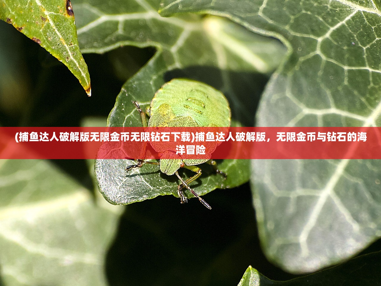 (冒险小分队最强阵容)冒险小分队最新T0阵容，无敌组合引领战场潮流