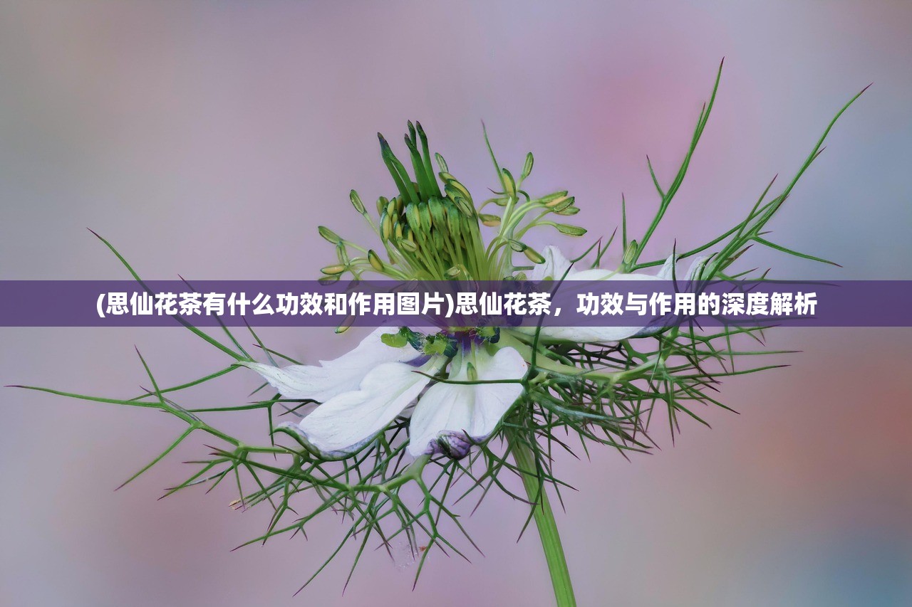 (猪突是什么意思)猪突突进，一种新兴现象的多维度探讨