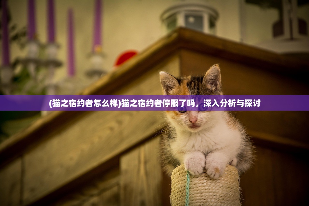 (人偶馆绮幻夜为什么要钱)人偶馆绮幻夜下架原因深度解析