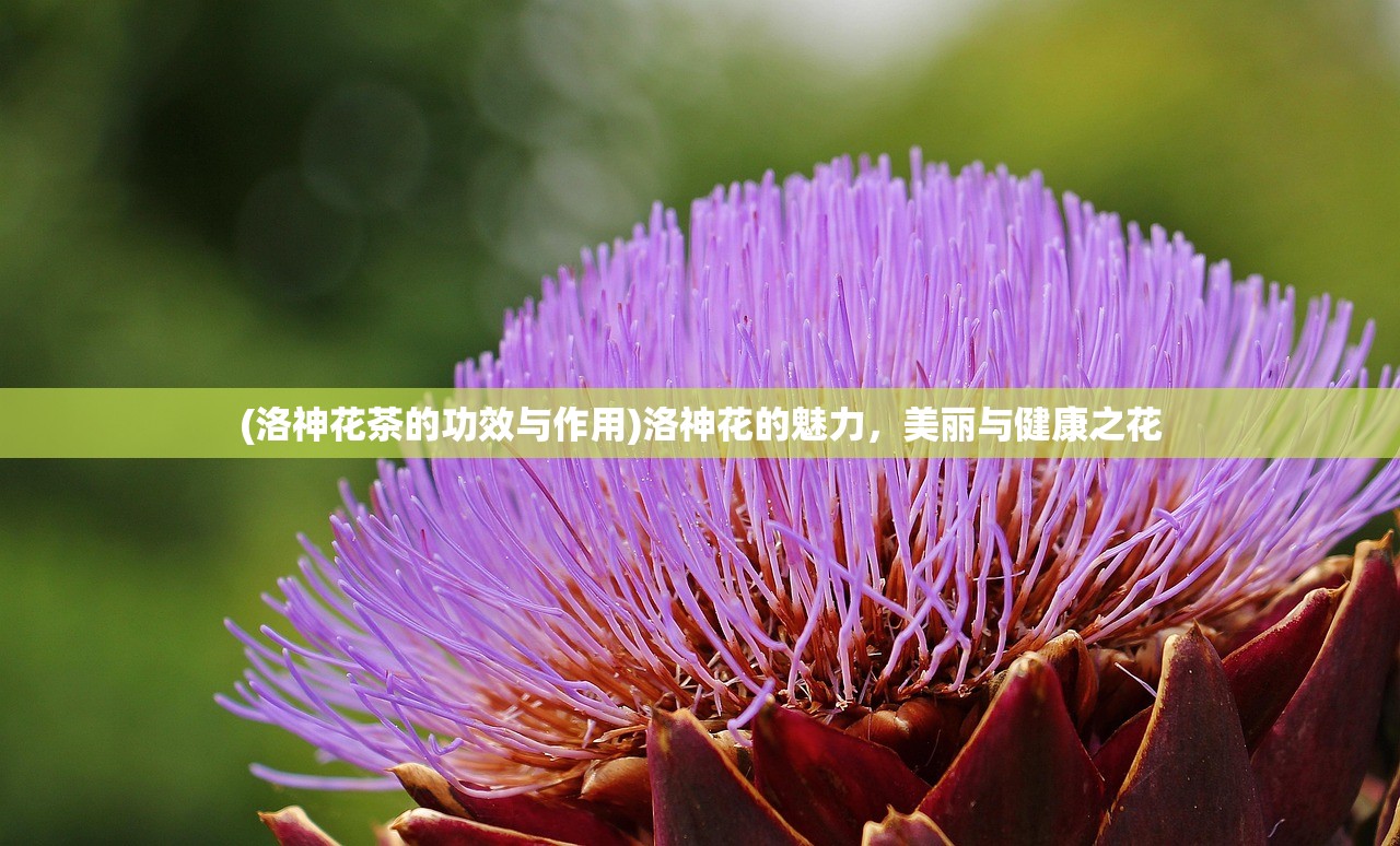 (蜜糖世界版本大全)蜜糖世界最新版，全新体验与特色解析