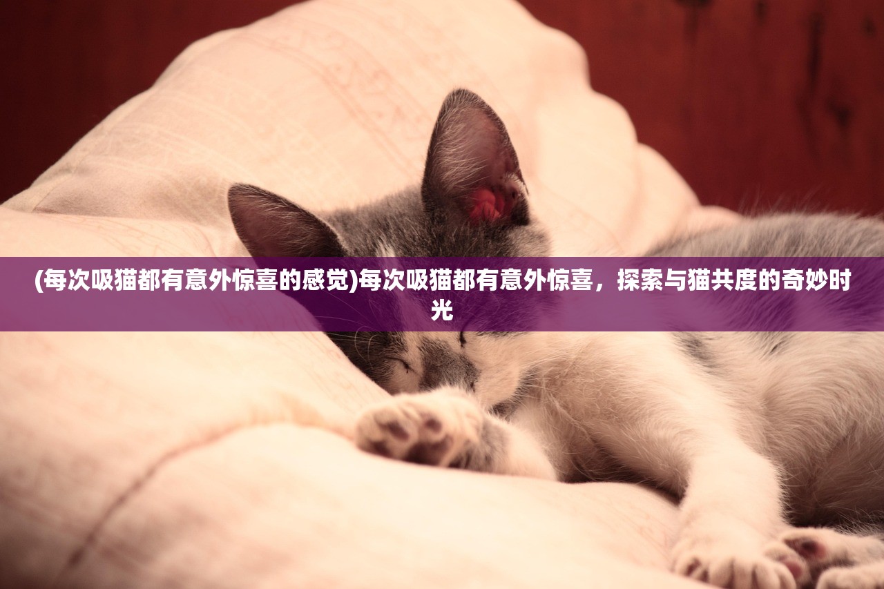 (伊苏纳爱斯汀的方舟)伊苏6纳比斯汀的方舟食谱，深入解析与常见问答