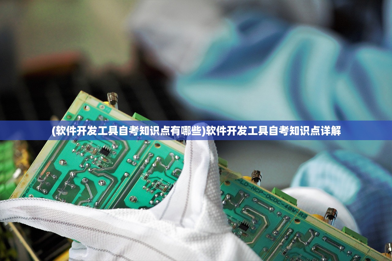 (大掌门什么意思)大掌门的粉丝群体深度解析