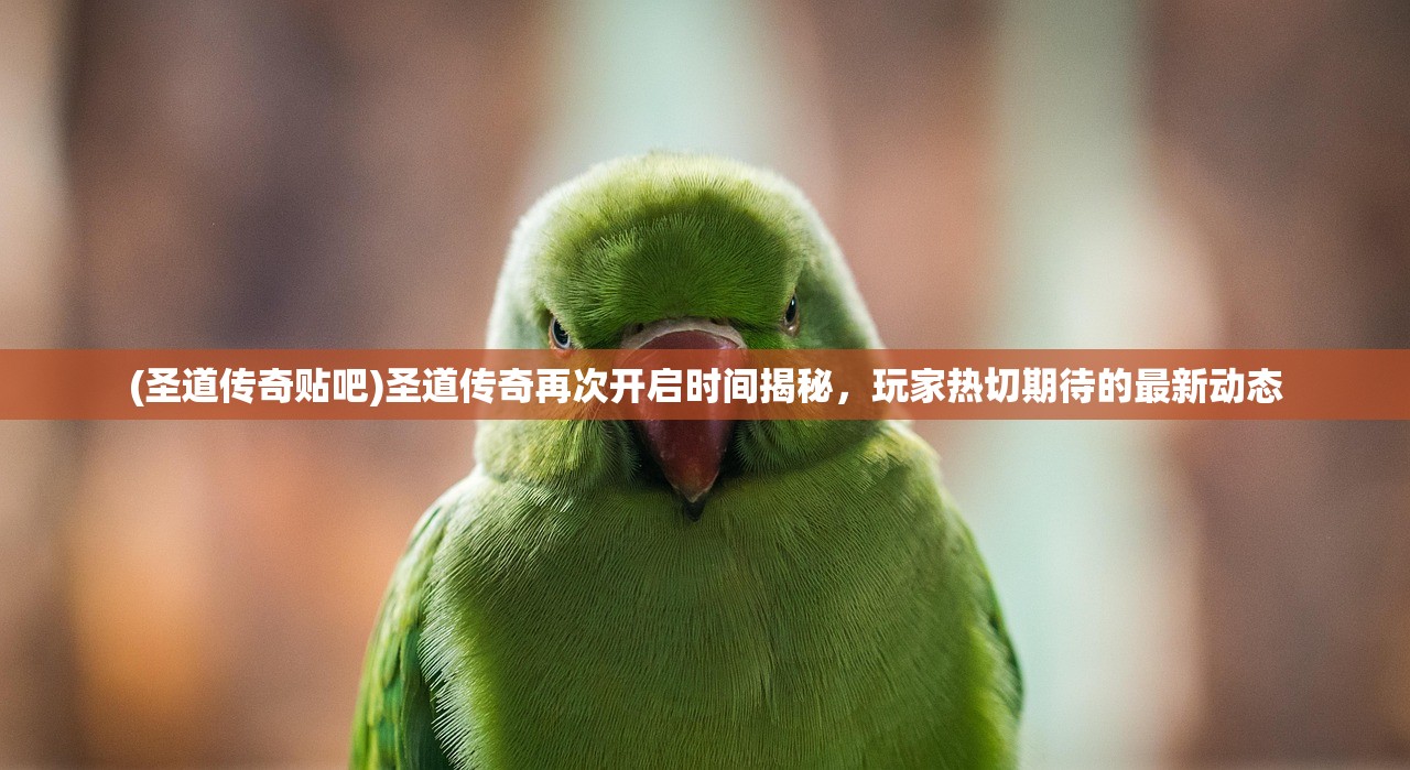 (大掌门什么意思)大掌门的粉丝群体深度解析