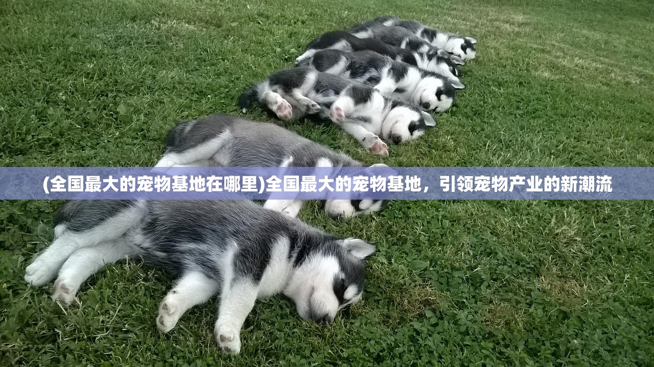 (安卡在哪刷新)安卡之地（测试服），初探与深度解析