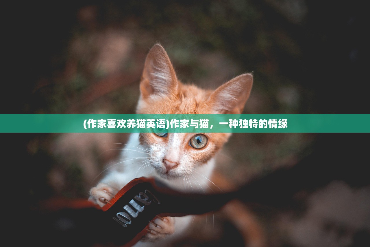 (猫儿山 山海经)猫儿山山海经神兽详解