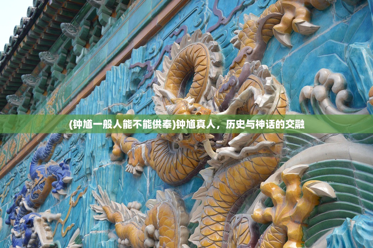 (口袋进化怎么使精灵图鉴达到一级)口袋进化图鉴升级攻略，一步步提升你的图鉴等级