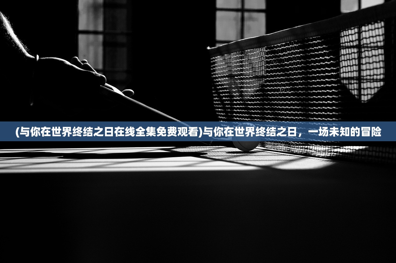 (逆转裁判1攻略第二章图文攻略)逆转裁判1攻略第二章，深入探索与策略解析