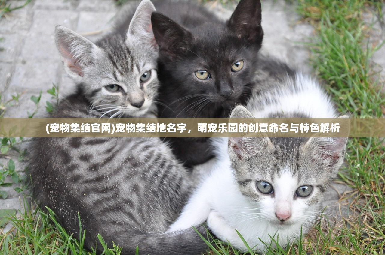 (王安宇 关晓彤)王安宇谈外公对关晓彤的戏情有独钟，跨代的欣赏与共鸣