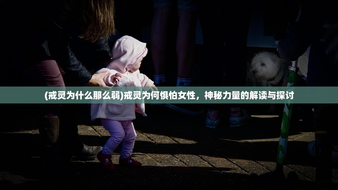(马吉拉航海物语香评)马吉拉航海物语，探索未知的海洋传奇