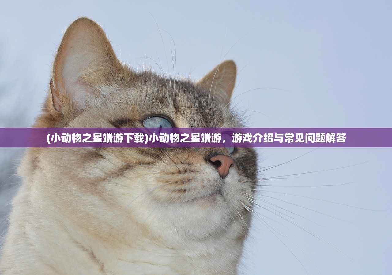 (疑案追声精神病院答案我是谁)疑案追声精神病院，真相揭秘与深度解析