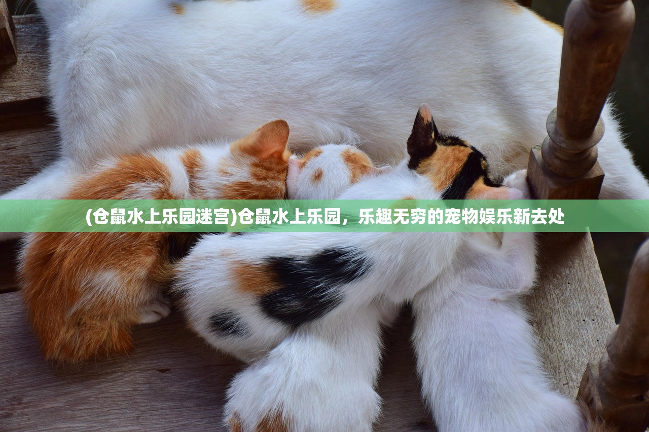 (风云五行属什么)五行风云，探寻古代智慧的奥秘