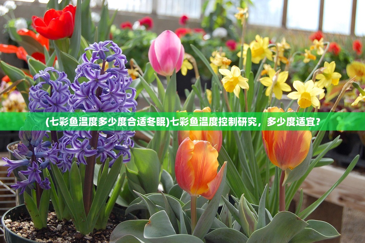 (魔域官网首页91中心)魔域官网中心，游戏的核心与玩家的家园
