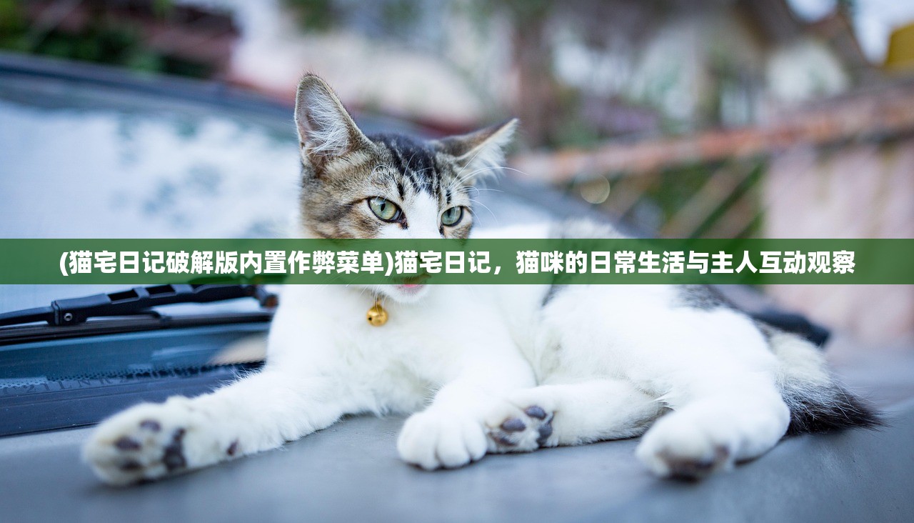 (黑道圣徒攻略视频)黑道圣徒攻略,Xbox 360游戏秘籍与指南 (黑道圣徒攻略视频)黑道圣徒攻略,Xbox 360游戏秘籍与指南