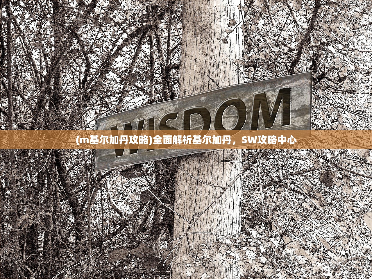 (m基尔加丹攻略)全面解析基尔加丹,SW攻略中心 (m基尔加丹攻略)全面解析基尔加丹,SW攻略中心