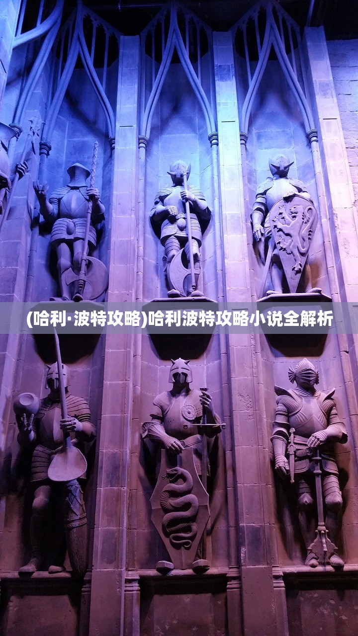 (哈利·波特攻略)哈利波特攻略小说全解析 (哈利·波特攻略)哈利波特攻略小说全解析