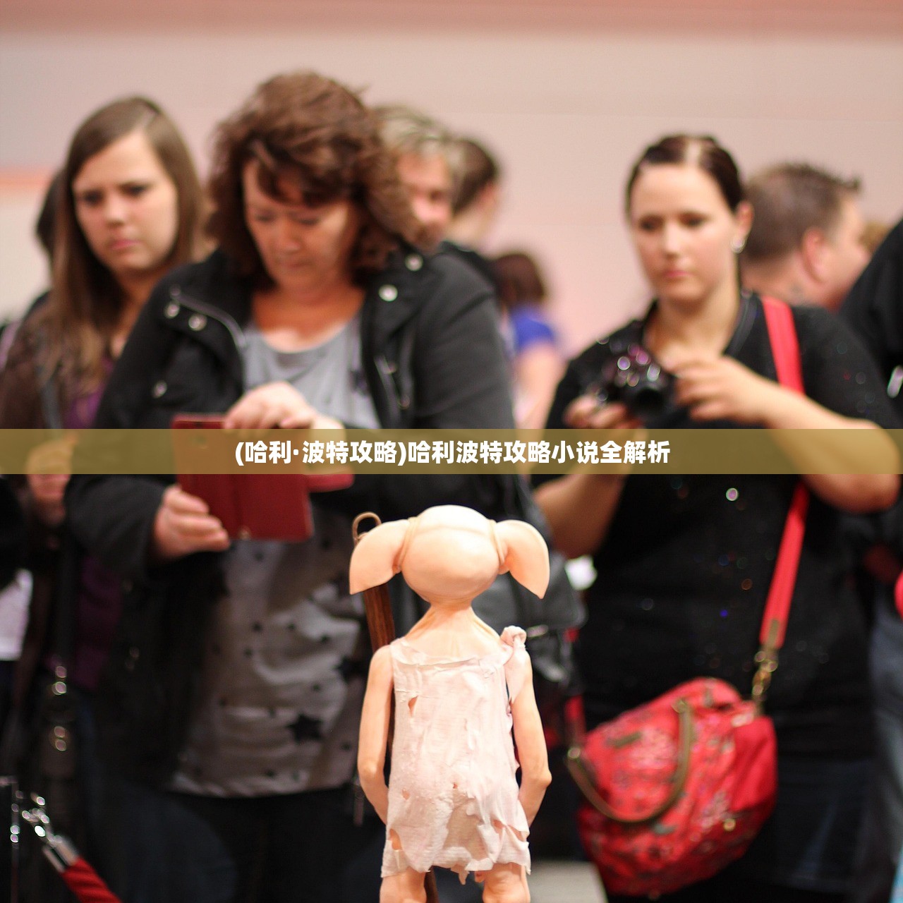 (哈利·波特攻略)哈利波特攻略小说全解析 (哈利·波特攻略)哈利波特攻略小说全解析