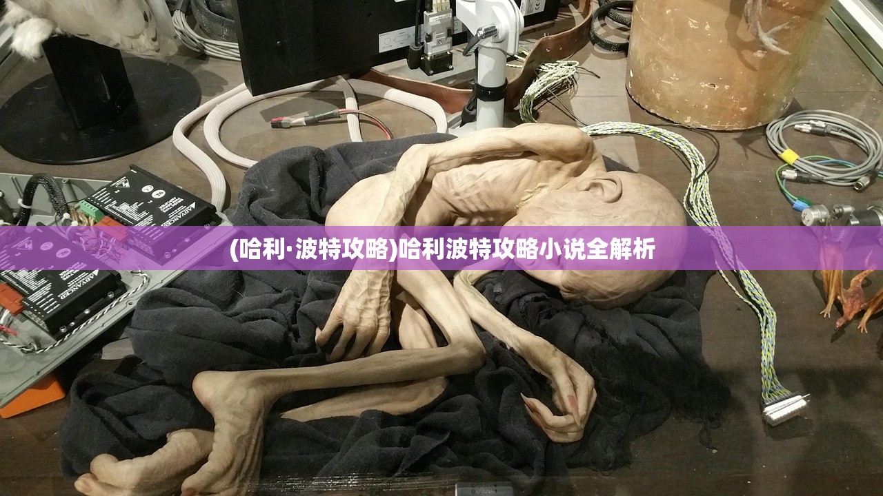 (哈利·波特攻略)哈利波特攻略小说全解析 (哈利·波特攻略)哈利波特攻略小说全解析