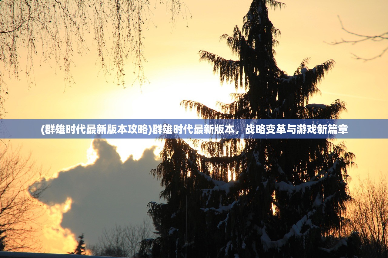 (群雄时代最新版本攻略)群雄时代最新版本,战略变革与游戏新篇章 (群雄时代最新版本攻略)群雄时代最新版本,战略变革与游戏新篇章
