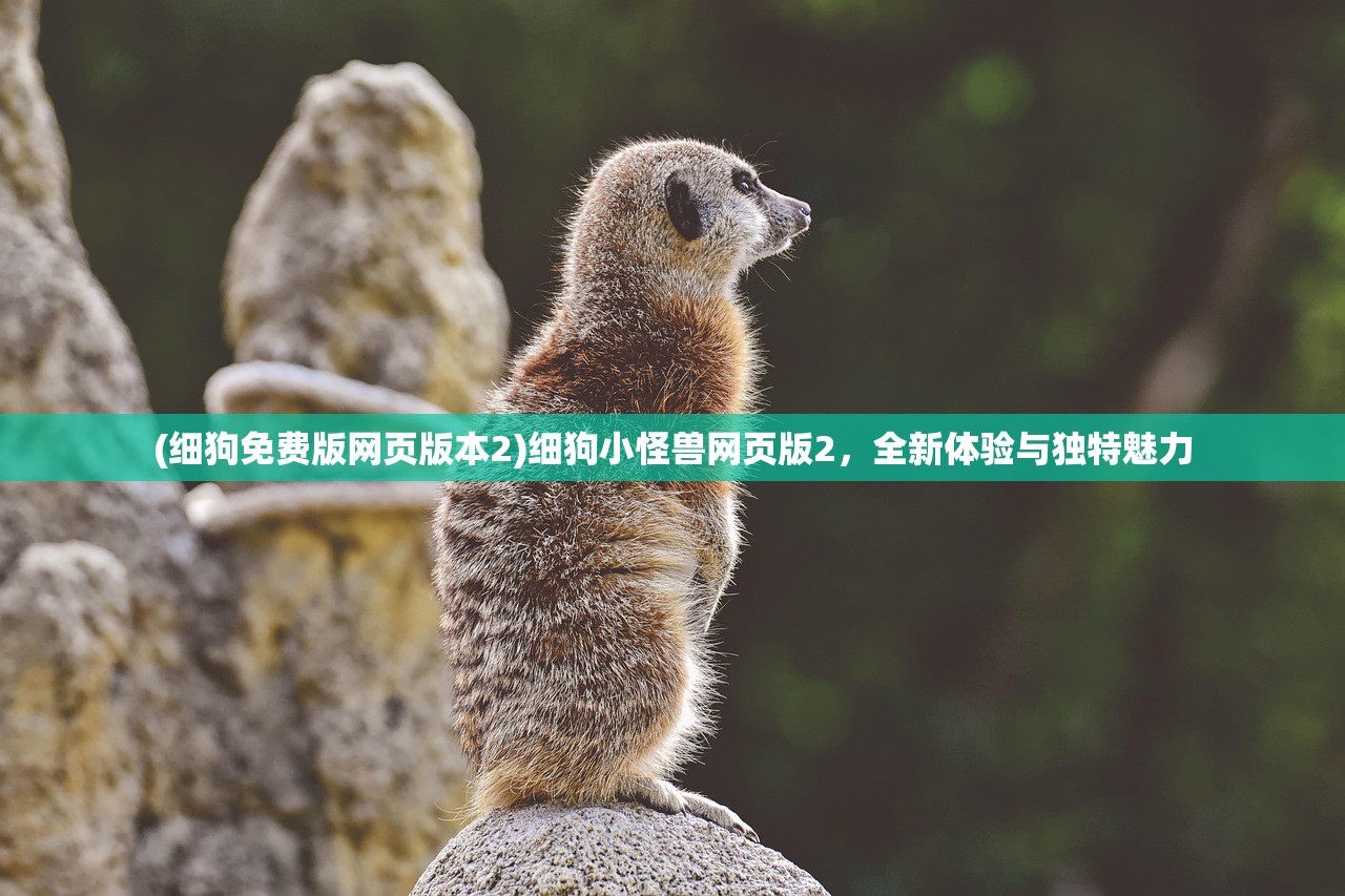 (细狗免费版网页版本2)细狗小怪兽网页版2,全新体验与独特魅力 (细狗免费版网页版本2)细狗小怪兽网页版2,全新体验与独特魅力
