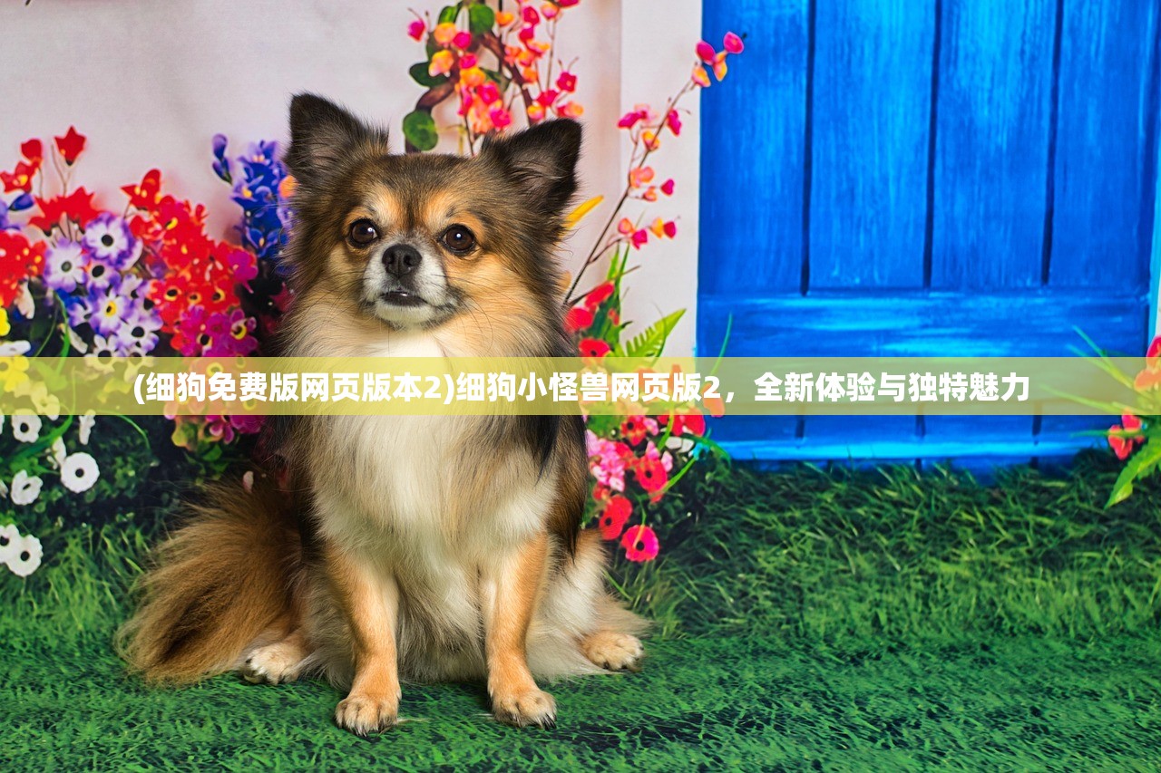 (细狗免费版网页版本2)细狗小怪兽网页版2,全新体验与独特魅力 (细狗免费版网页版本2)细狗小怪兽网页版2,全新体验与独特魅力