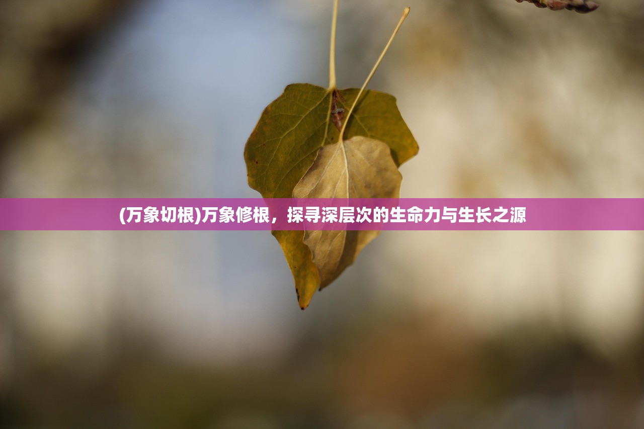 (万象切根)万象修根,探寻深层次的生命力与生长之源 (万象切根)万象修根,探寻深层次的生命力与生长之源