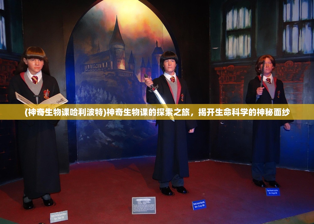 (神奇生物课哈利波特)神奇生物课的探索之旅,揭开生命科学的神秘面纱 (神奇生物课哈利波特)神奇生物课的探索之旅,揭开生命科学的神秘面纱