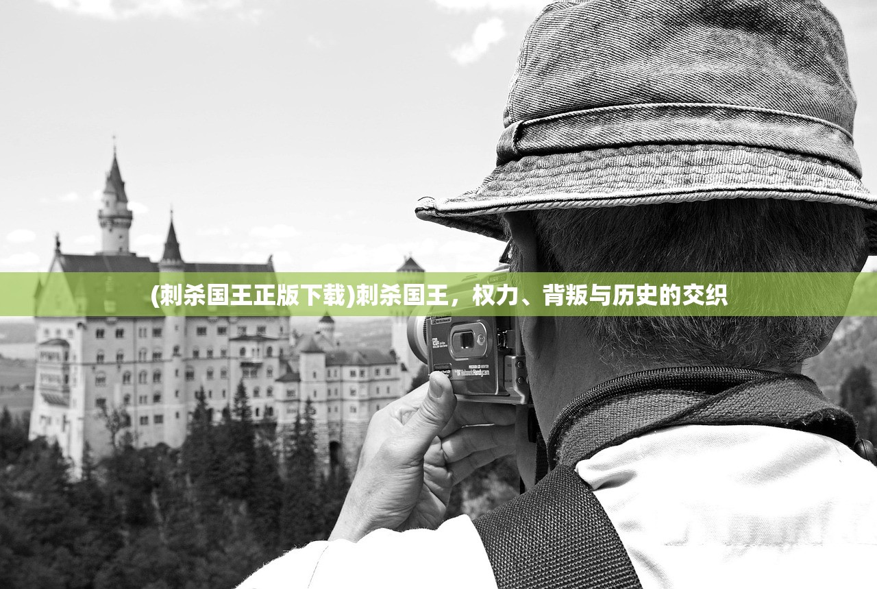 (刺杀国王正版下载)刺杀国王,权力、背叛与历史的交织 (刺杀国王正版下载)刺杀国王,权力、背叛与历史的交织