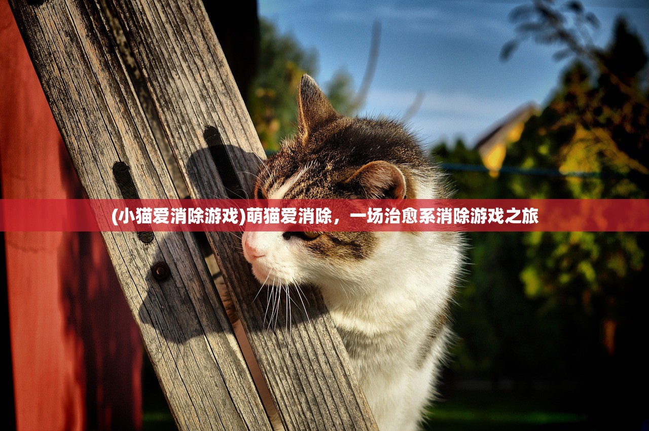 (梦境奇遇记混合色彩风格是什么)梦境奇遇记，混合色彩风格的探索与解析