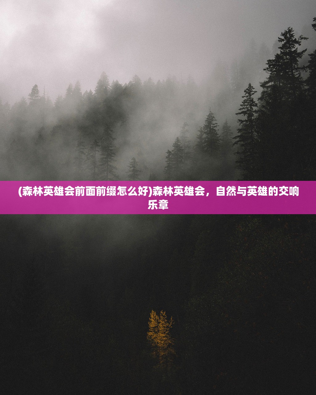 (笑容的炼金术士)笑容的炼金术师公园NPC攻略详解及常见问题解答