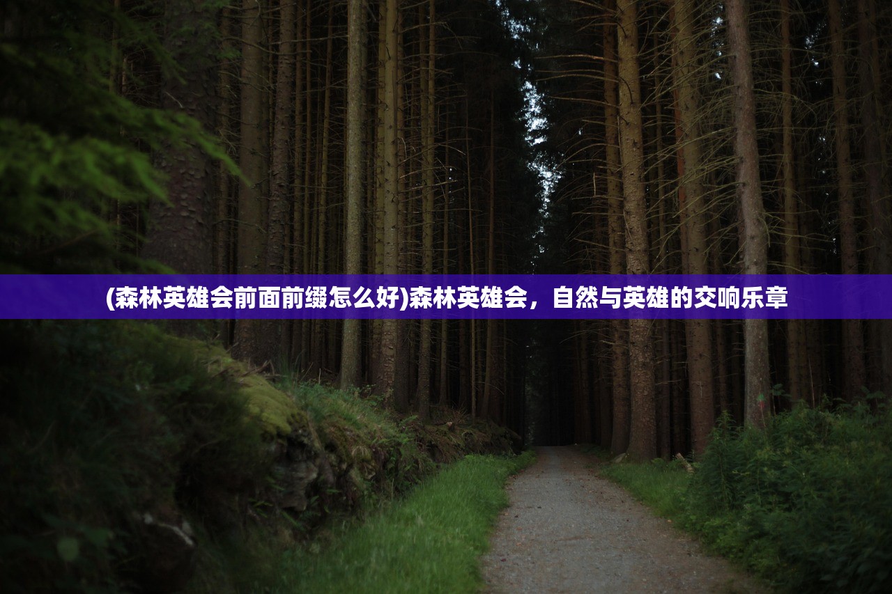 (夺宝英雄游戏攻略)夺宝英雄游戏，探险与策略的完美结合