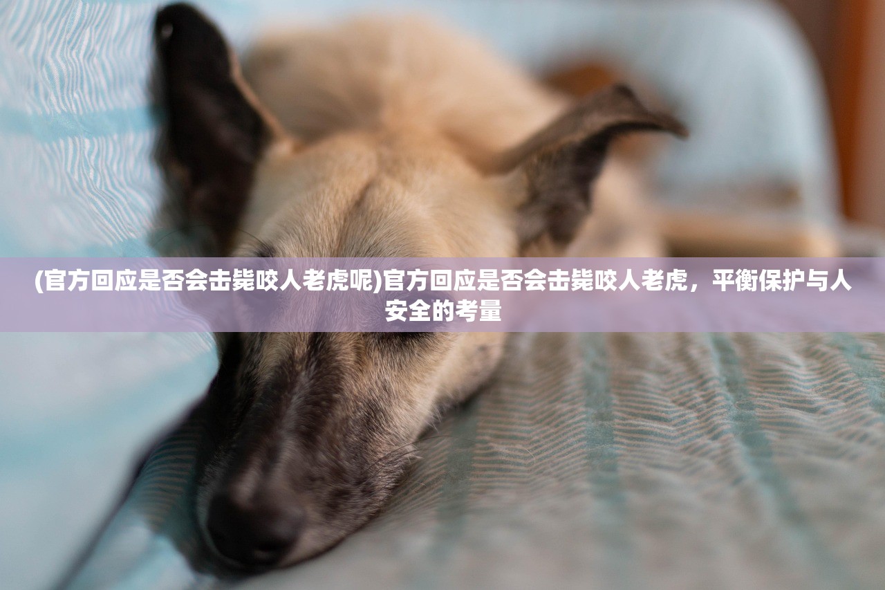 (像素神庙攻略路线)像素神庙布局攻略详解及常见问题解答