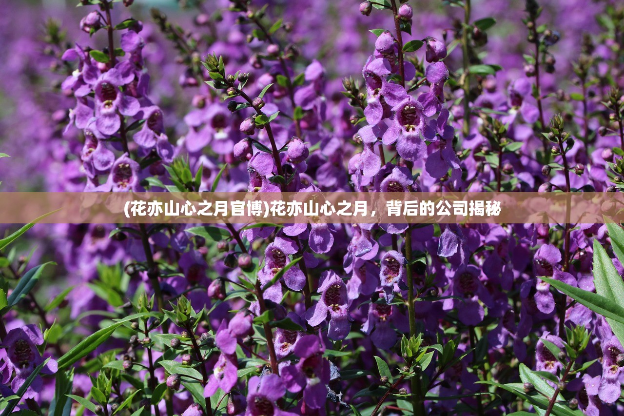 (战国群雄并起的名字)战国群雄并起，纷争大势下的政治、经济与文化动态