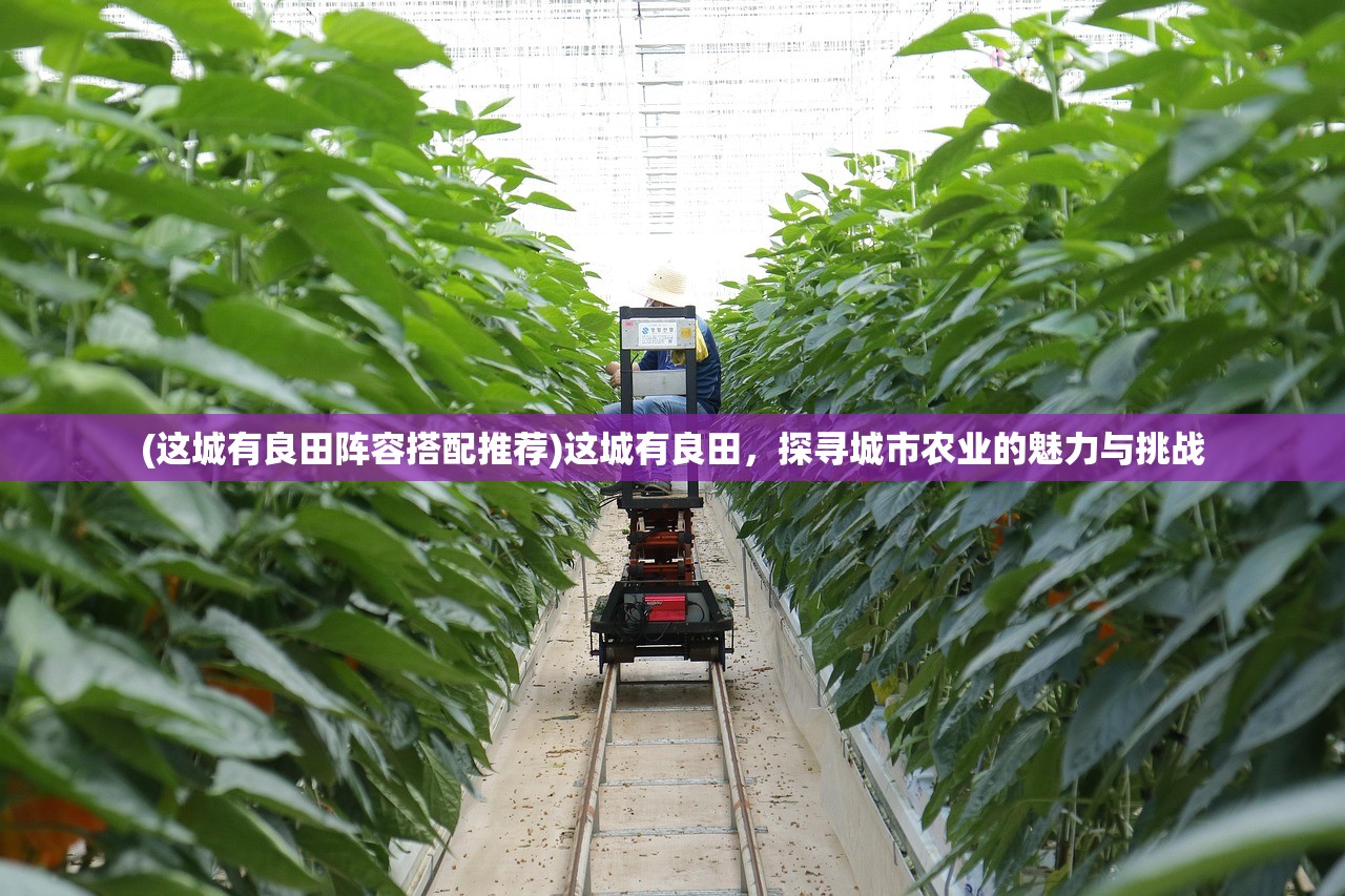 (寻秦传奇官网)寻秦外传手游安卓，探索秦朝世界的魅力之旅