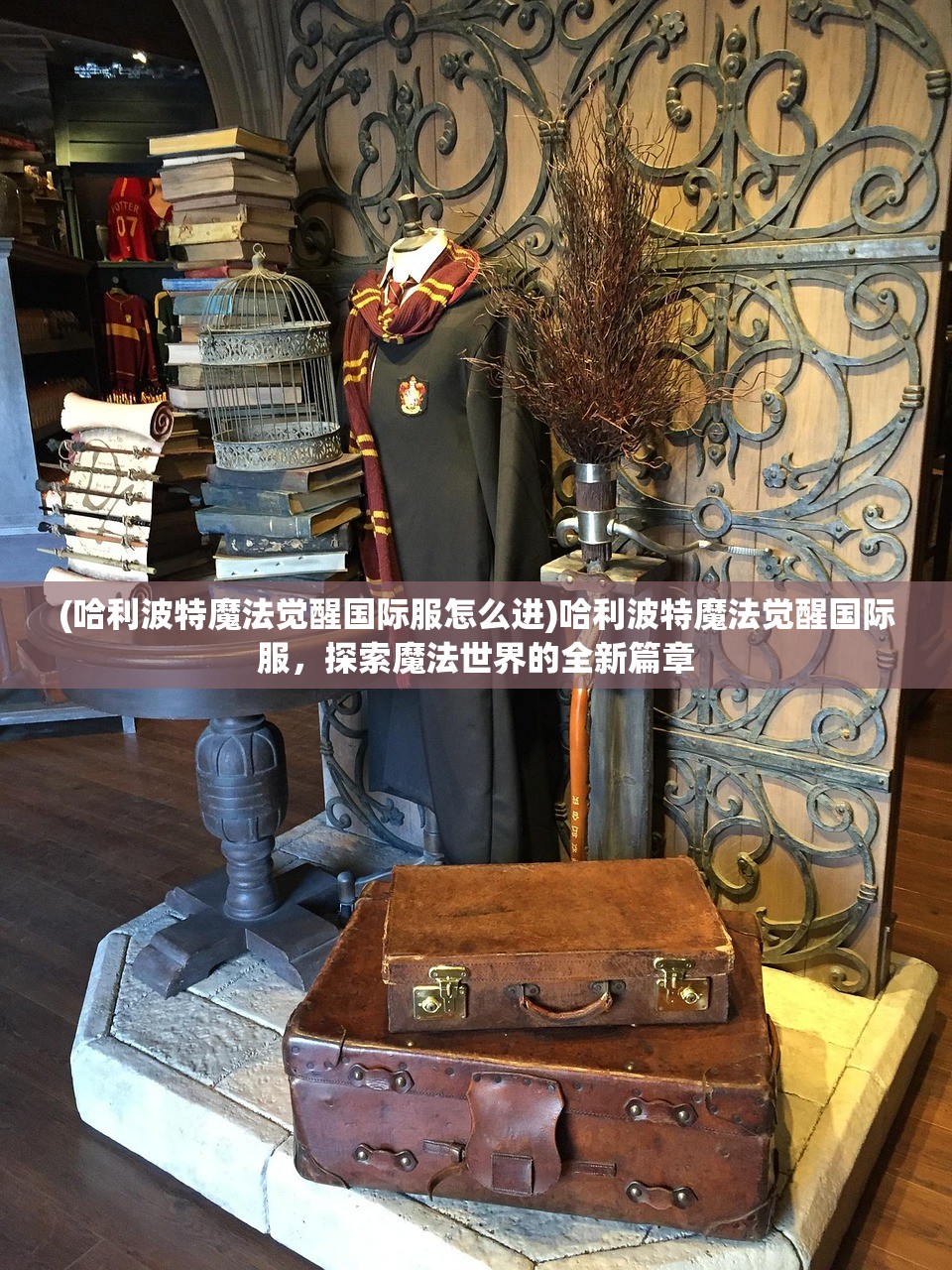 (哈利波特魔法觉醒国际服怎么进)哈利波特魔法觉醒国际服，探索魔法世界的全新篇章