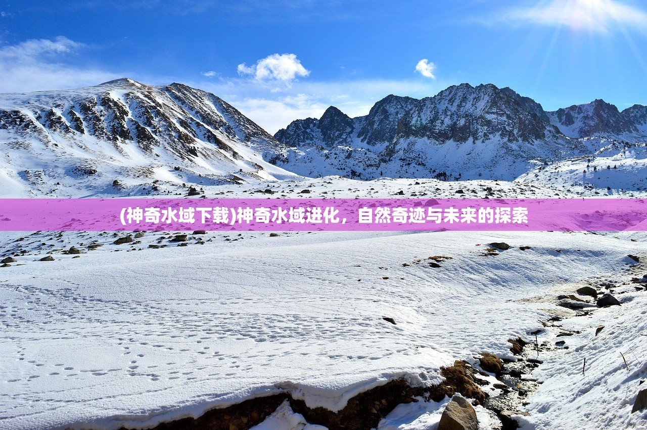 (盘龙全本免费阅读笔趣阁)盘龙免费阅读全文笔趣阁，奇幻之旅的深入探索