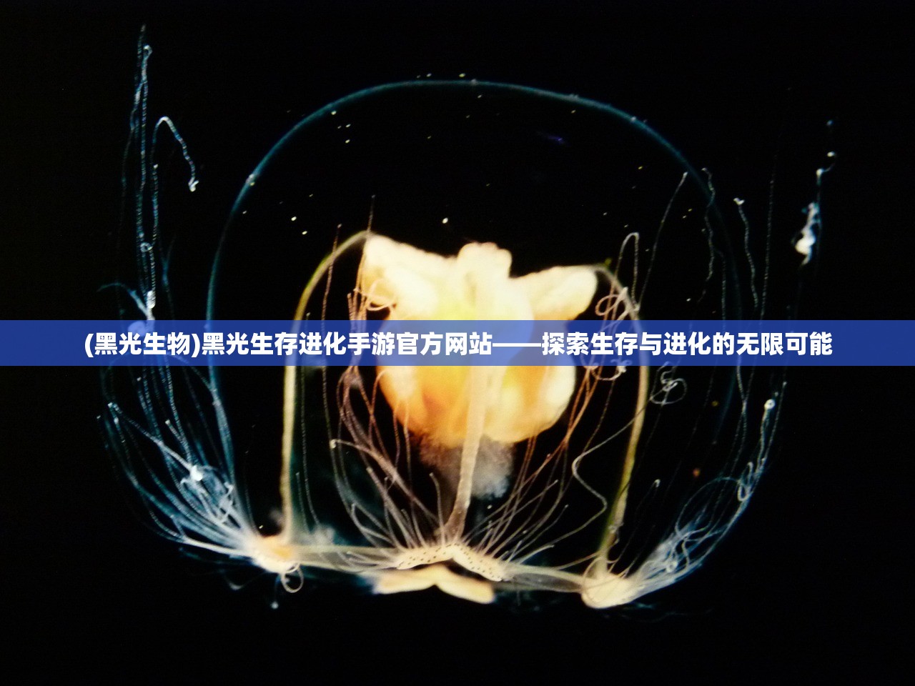 (黑光生物)黑光生存进化手游官方网站——探索生存与进化的无限可能
