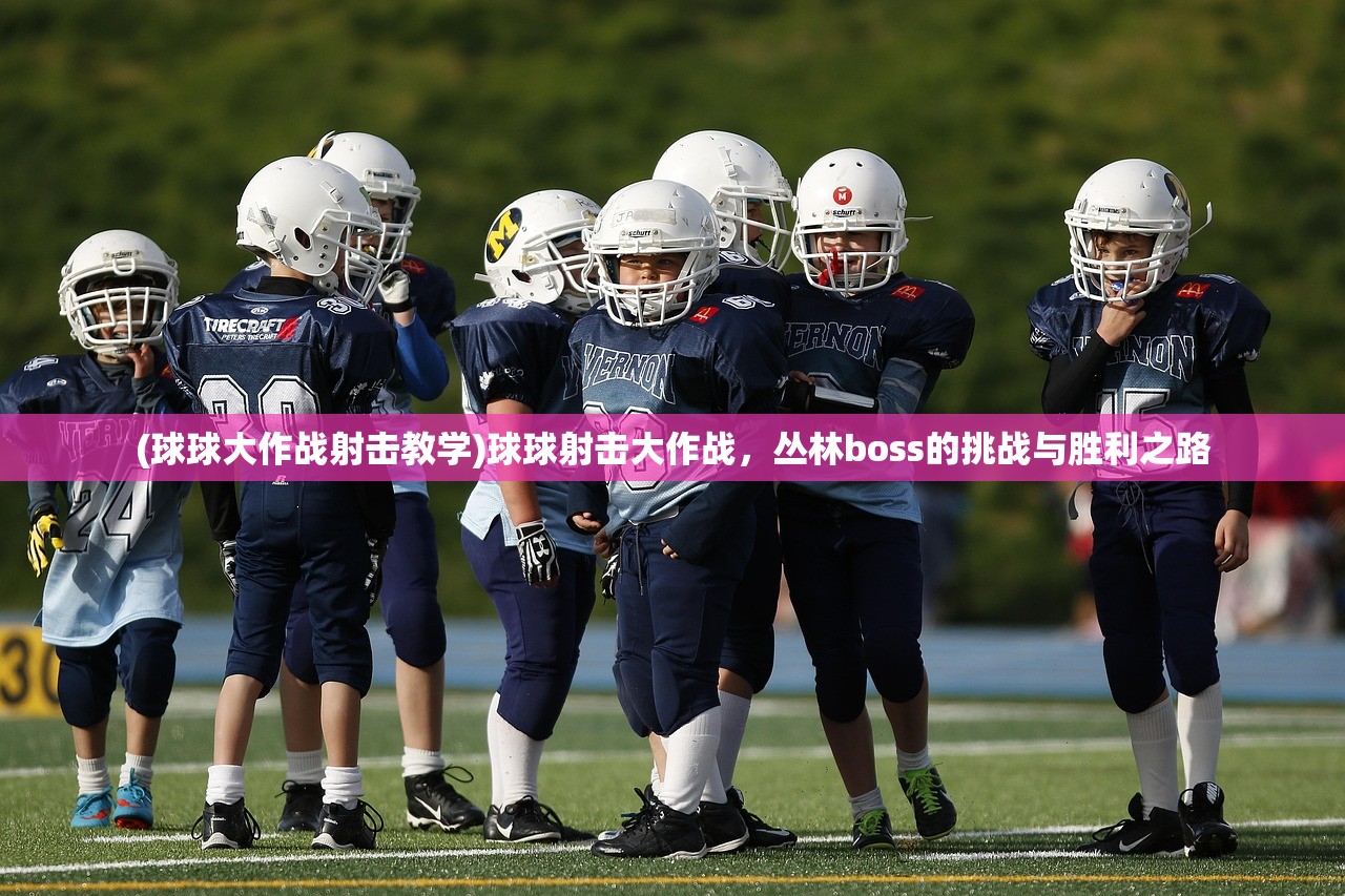 (雪鹰领主游戏官网)雪鹰领主游戏，探索奇幻世界的无尽魅力
